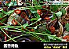 酱香烤鱼的做法
