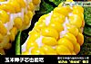 玉米棒子芯也能吃的做法