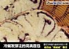 冷藏发酵法的完美面包的做法
