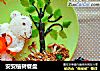 安安植树餐盘的做法
