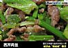 西芹肉丝的做法