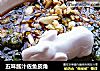 五味酱汁佐鱼皮角的做法