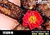 玫瑰排骨的做法