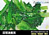 蒜蓉油麦菜的做法