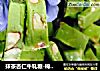 抹茶杏仁牛轧糖-棉花糖版的做法