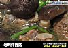 老鸭炖香菇的做法