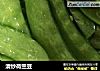 清炒荷兰豆的做法