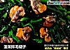 菠菜拌毛蚬子的做法