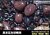 黑米花生核桃粥的做法