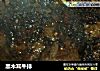 黑木耳牛排的做法