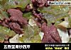 五香里脊炒西芹的做法