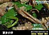 家乡小炒的做法