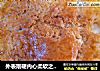 外表刚硬内心柔软之酸奶中种菠萝包的做法