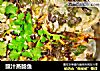 豉汁蒸鲶鱼的做法