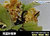 鸡蛋炒青笋的做法