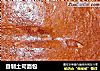 自制土司面包的做法