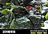 凉拌裙带菜的做法