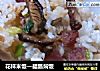 花样米饭—腊肠焖饭的做法