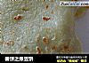 春饼之绿豆饼的做法