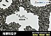 烤原味瓜子的做法