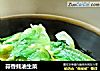 蒜香蚝油生菜的做法