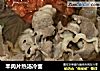 羊肉片热汤冷面的做法