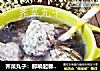 荠菜丸子：那唤起春意的圆丸靓汤的做法