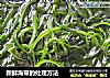 新鲜海带的处理方法的做法