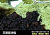艾草豆沙包的做法