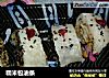 糯米包油条的做法