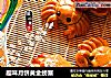 趣味月饼黄金螃蟹的做法