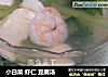 小白菜 虾仁 豆腐汤的做法
