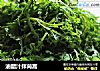 油醋汁拌茼蒿的做法