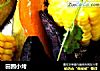 田园小烤的做法
