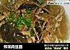 榨菜肉丝面的做法