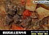 懒妈妈的土豆炖牛肉的做法