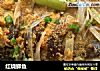 红烧鲫鱼的做法