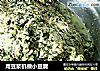 用豆浆机做小豆腐的做法
