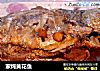 家炖黄花鱼的做法