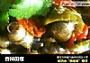 香辣田螺的做法