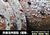 燕麦汤种面包（面条汤版）的做法