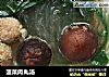 菠菜肉丸汤的做法