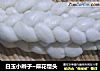 白玉小辫子~麻花馒头的做法