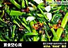 素食空心菜的做法
