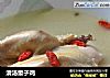 清汤童子鸡的做法