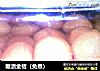 糖渍金桔（免煮）的做法