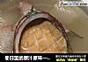 冬日里的原汁原味——竹荪小鲍汤的做法