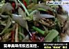 简单美味传统名菜经典之：三河小炒的做法