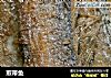 煎带鱼的做法