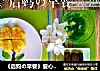 《后妈の早餐》爱心四叶草的做法